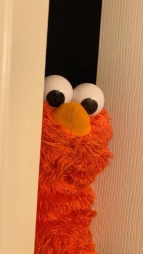 332693501_1164080380945703_6825208735153591711_n