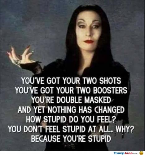 how-stupid-do-you-feel2679