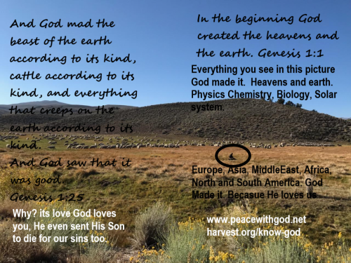 GodlovesusSheep