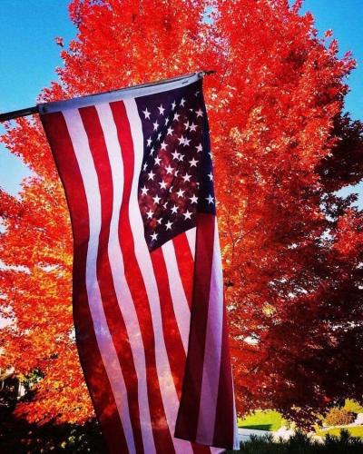Flag - In front of fall (Red) tree