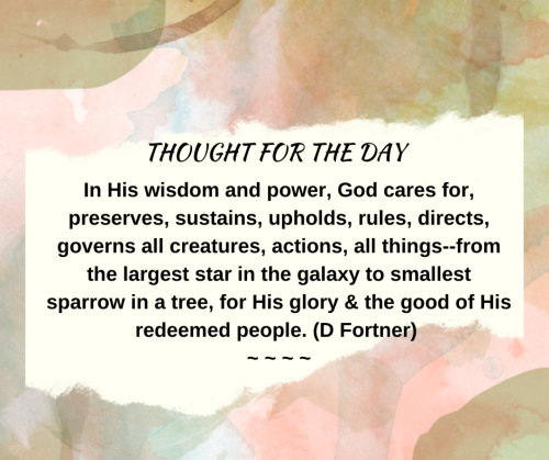 TWEET 4-29-23