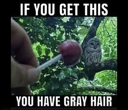 hair
