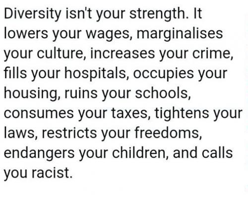 USA diversity strength