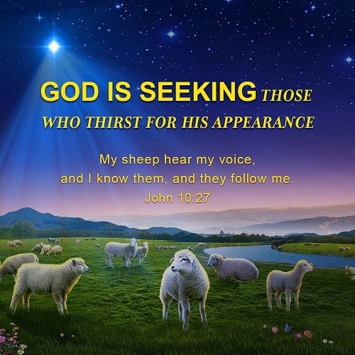 IMG_20230415_081720_670