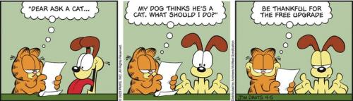 Screenshot 2023-04-05 at 07-33-39 Garfield by Jim Davis for April 05 2023 GoComics