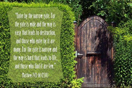 231-pixabay-vision-protection-hedge-414227-56a1495b3df78cf7726931f6