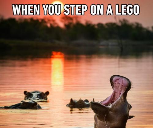 When You Step on Lego