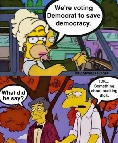 M voting Democrat