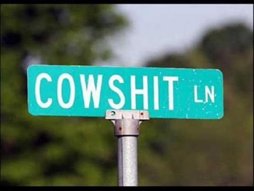 Road Sign -- Cowshit Lane