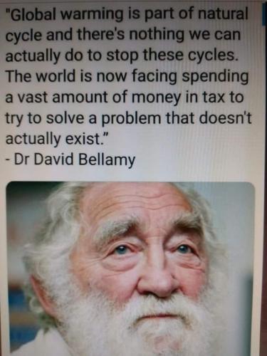 Dr David Bellamy