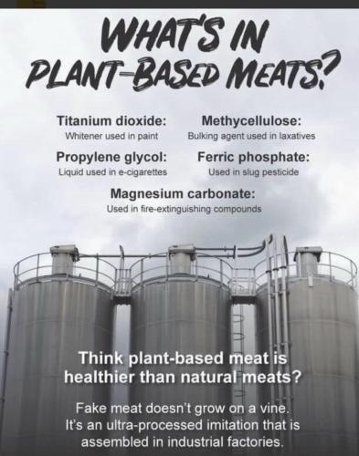 Screenshot_20230410_130208_DuckDuckGo