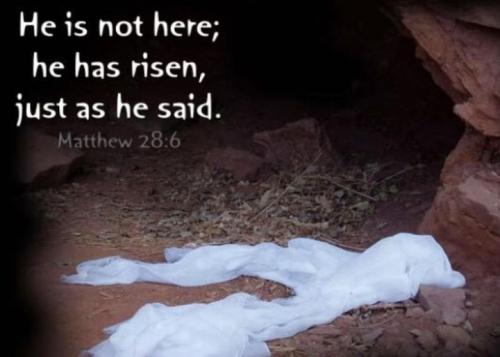 340446219_1169913827051410_4139509710684161215_n