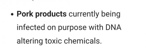 Screenshot_20230424_050005_Brave