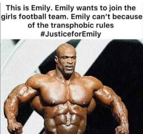 78649c555d329c12