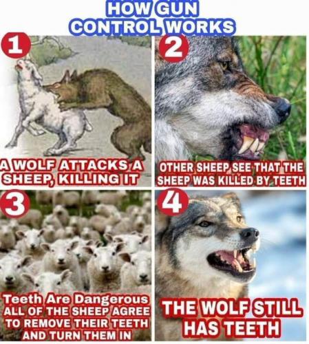 wolf