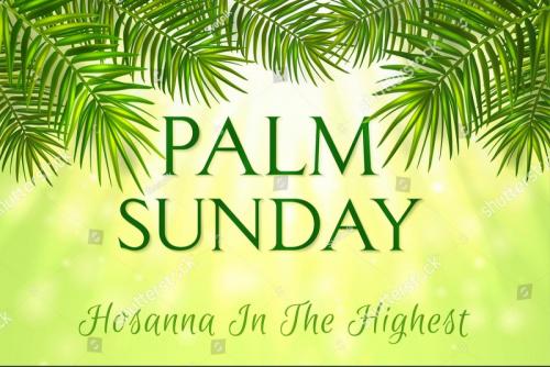 stock-vector-palm-sunday-greeting-banner-template-for-christian-holiday-with-palm-tree-leaves-background-1919259170