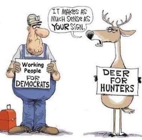 Deer For Hunters