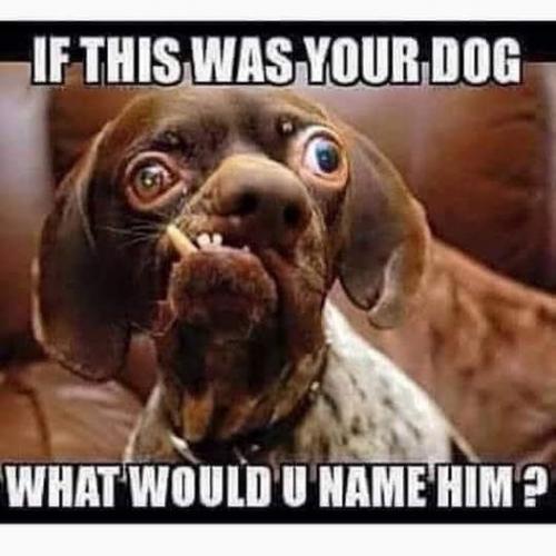 338226398_615700216679592_369602348723353585_n