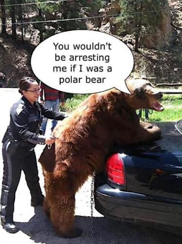 FB_IMG_1682190057550