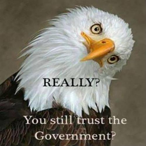 M trust government