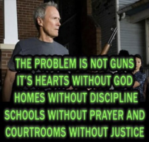 M not guns