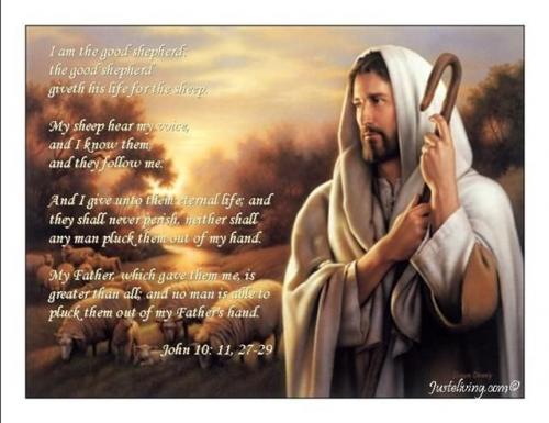 IMG_20230410_044944_936