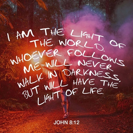John 8