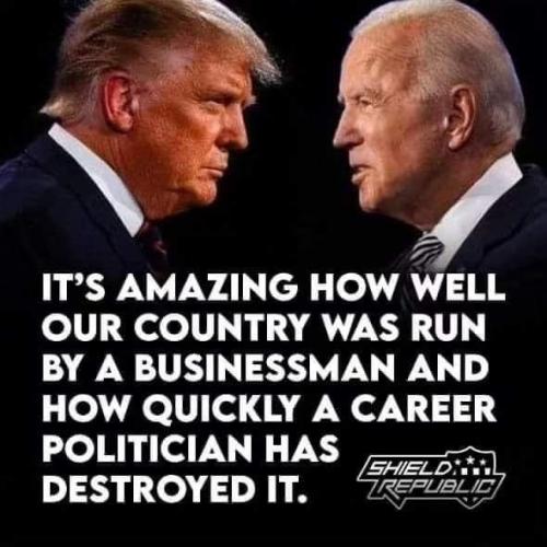 Amazing Business Man    (maga)