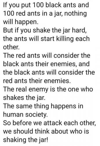 M ants