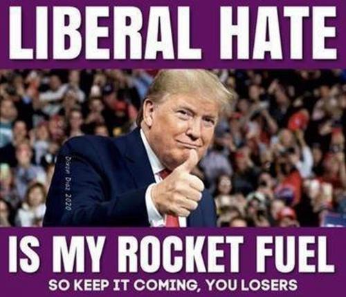Liberal hate  (maga)