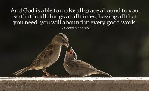 IMG_20230424_094334_853