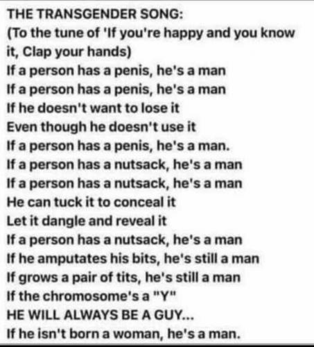 THE TRANS SONG  TS