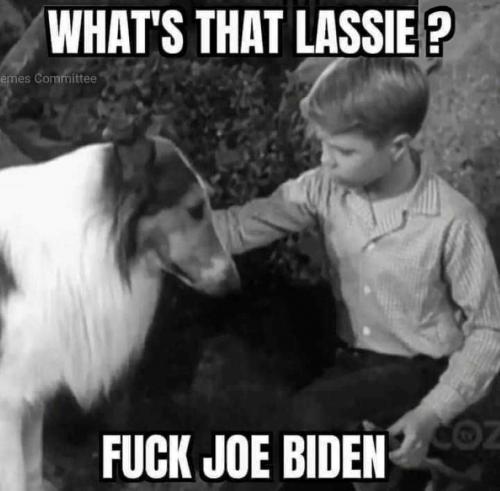 USA Lassie FJB
