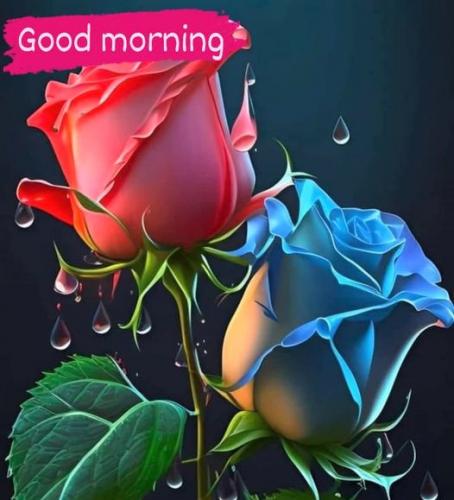 041823 - GM colorful roses