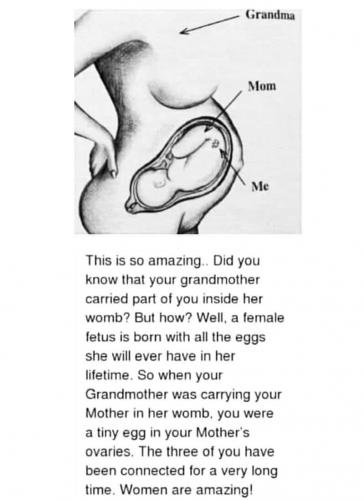 48935221_2232171640396723_4671457386068705280_n