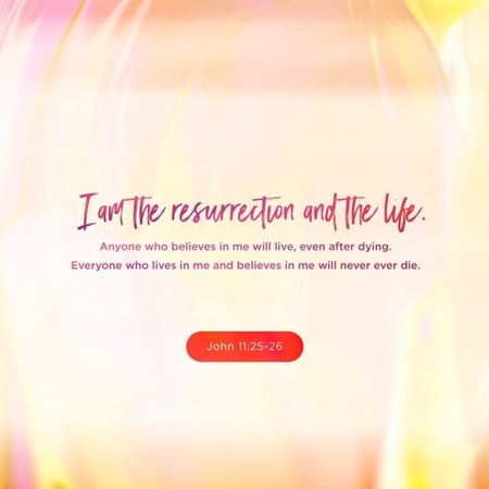 John 11