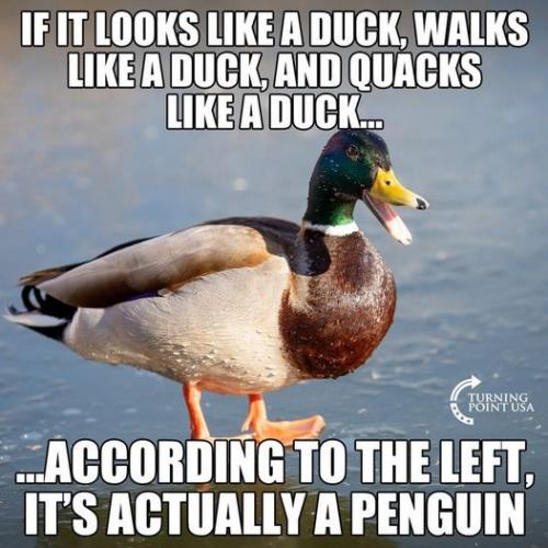 339433780_786325156244337_3466958520025137039_n