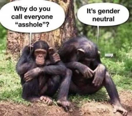 GenderN