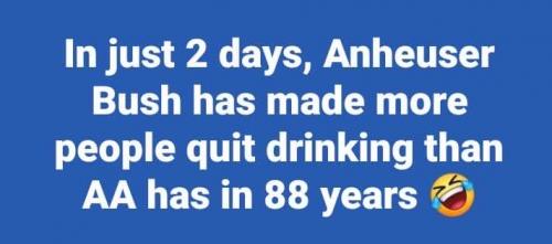 340544514_212178178200892_7606011090765326462_n