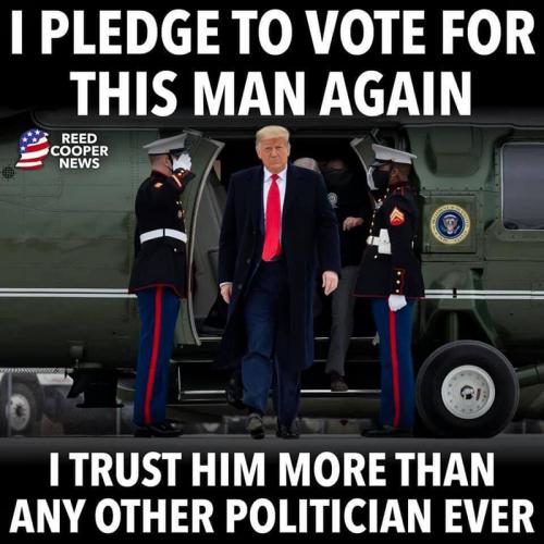 M pledge to vote