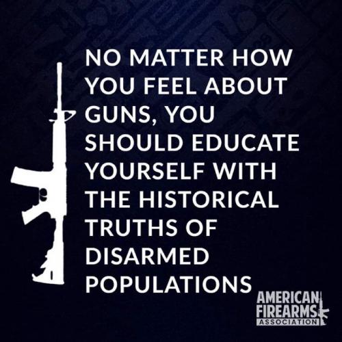 RO educate guns