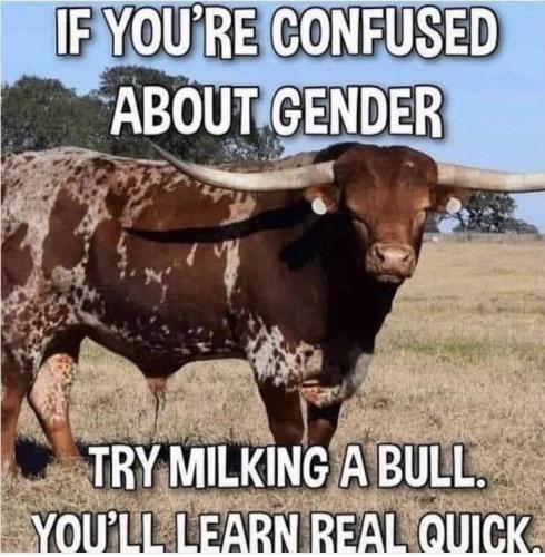 Milk-a-Bull