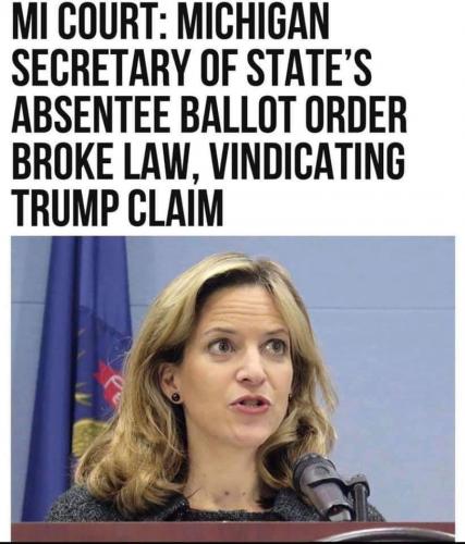 Michigan Court - Ballots