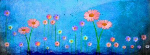 792681581b19e4ffe43a9236bad6c012