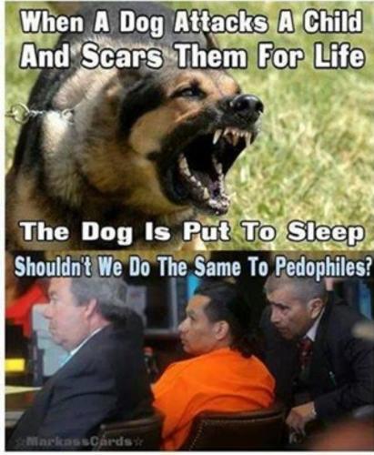 Screenshot_20230415_044339_Twitter