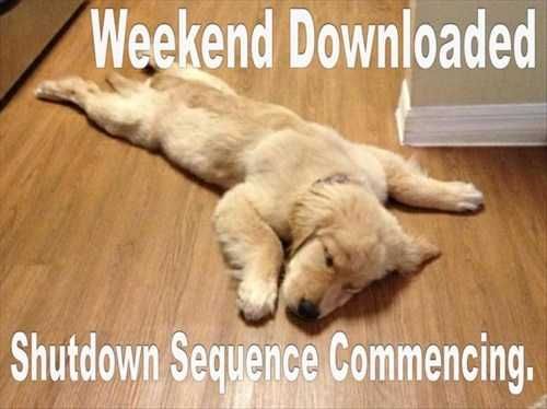 W5J45Yd9O5DFFiWCy5PM_15_906b34f1205ab381725c591f8206d8f5_image