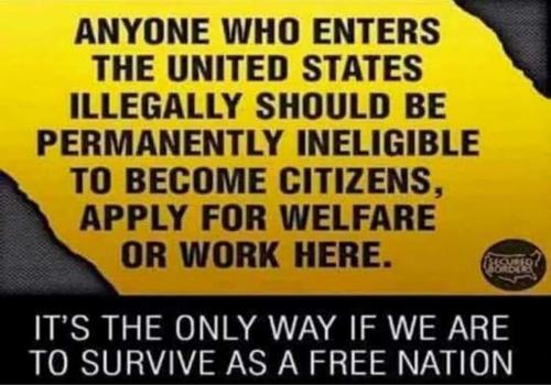 USA enter illegally