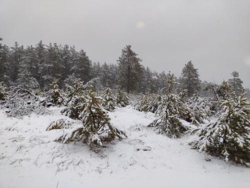 IMG_20230401_080353503