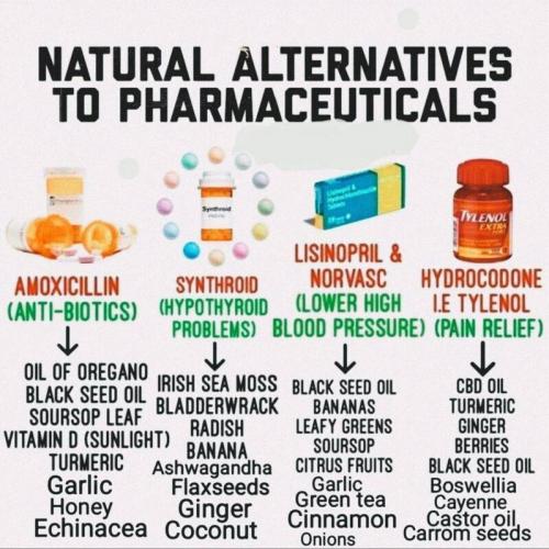 Food, Drug -- Replacements