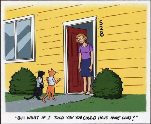 ninelives
